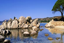 开云APP-关于法甲赛后再迎强敌，纽卡斯尔迎来里程碑，主帅态度：态度坚定，赛季目标并未改变的信息-开云APP