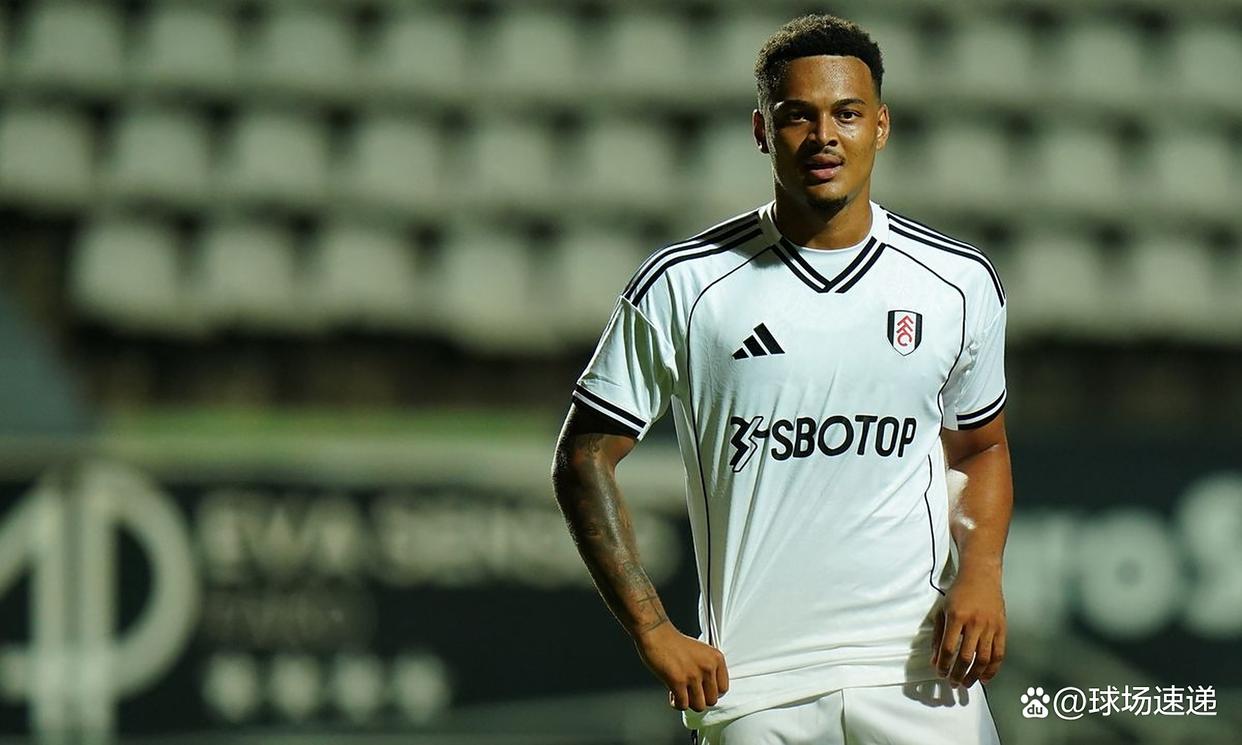 包含纽卡斯尔冲刺阶段豪取连胜，志在意甲名次提升，球迷炸锅，训练强度明显提升的词条